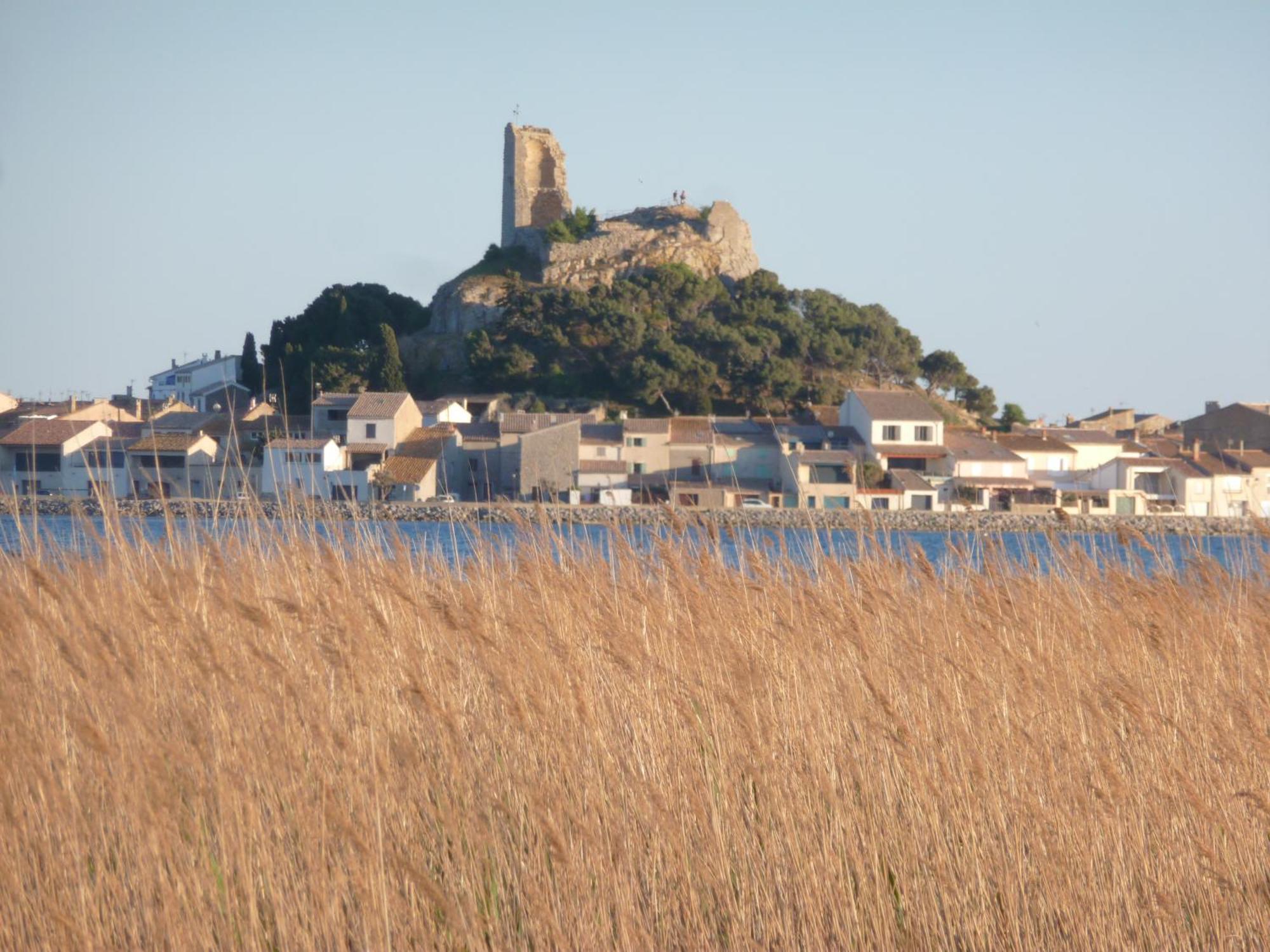 La Pergola De La Plage Gruissan Kültér fotó